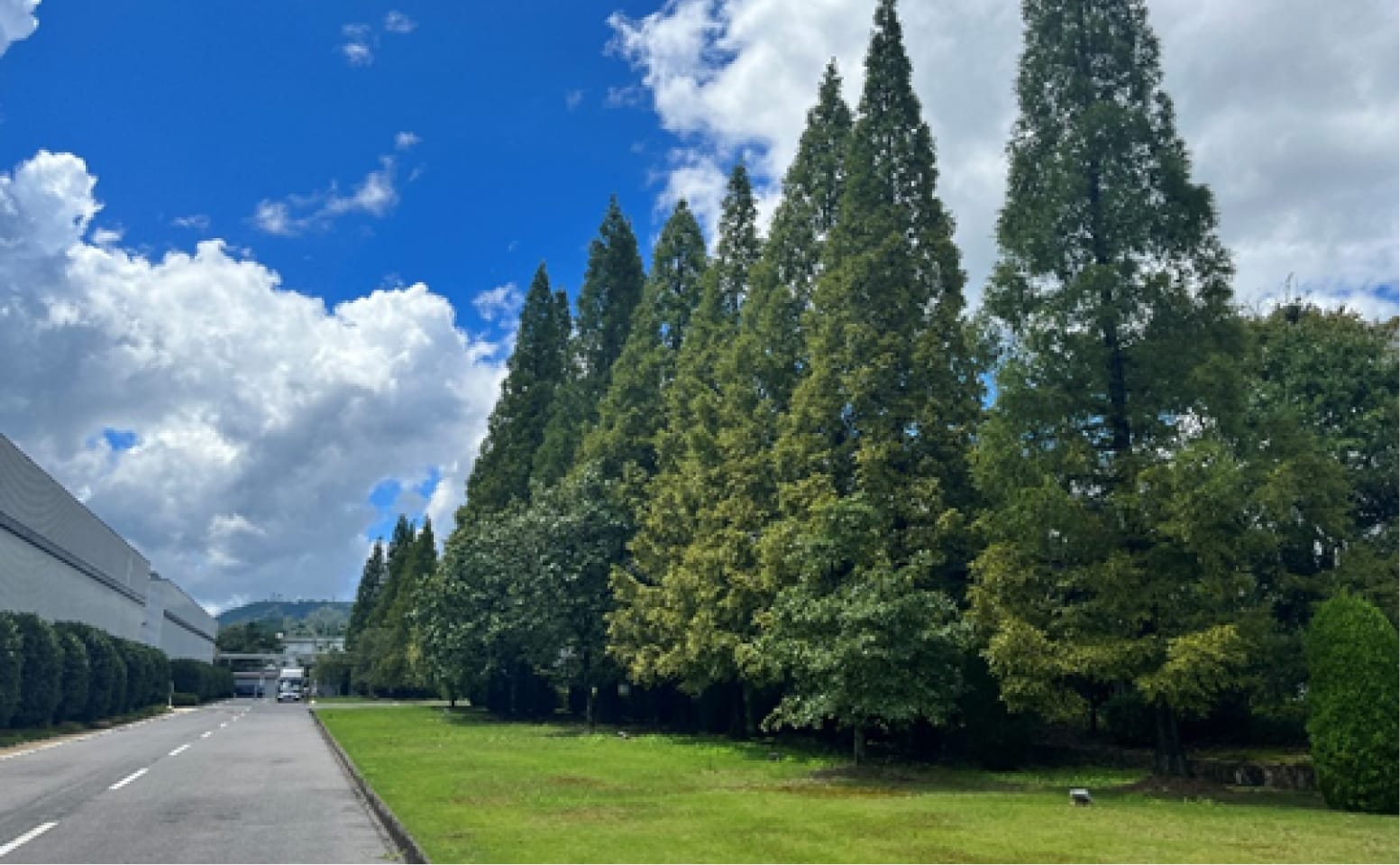 土岐工場の植栽